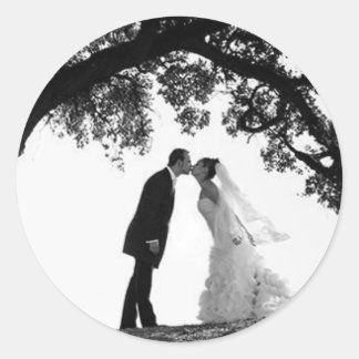 Bride Kiss under Oak Sticker