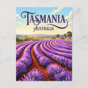 Bridestowe Lavender Estate Australia Postcard