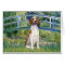 Bridge - American Foxhound