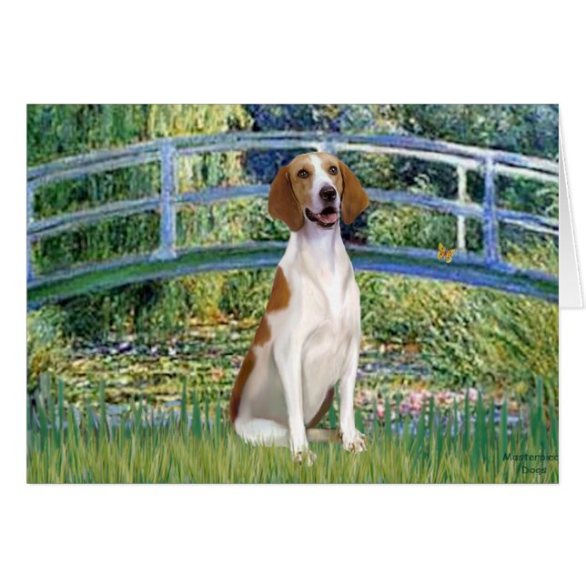 Bridge - American Foxhound (Front Horizontal)