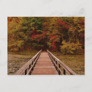 Bridge at Bays Mounatin Postcard