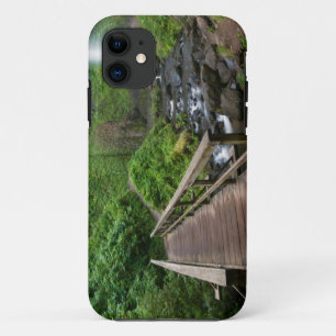 Bridge at Latourell Falls, Columbia River Gorge, iPhone 11 Case