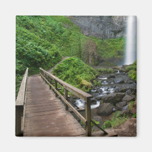 Bridge at Latourell Falls, Columbia River Gorge, Magnet