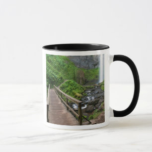 Bridge at Latourell Falls, Columbia River Gorge, Mug