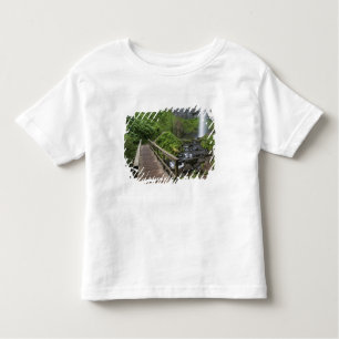 Bridge at Latourell Falls, Columbia River Gorge, Toddler T-Shirt