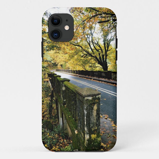 Bridge at Latourell Falls, OR Case-Mate iPhone Case (Back)