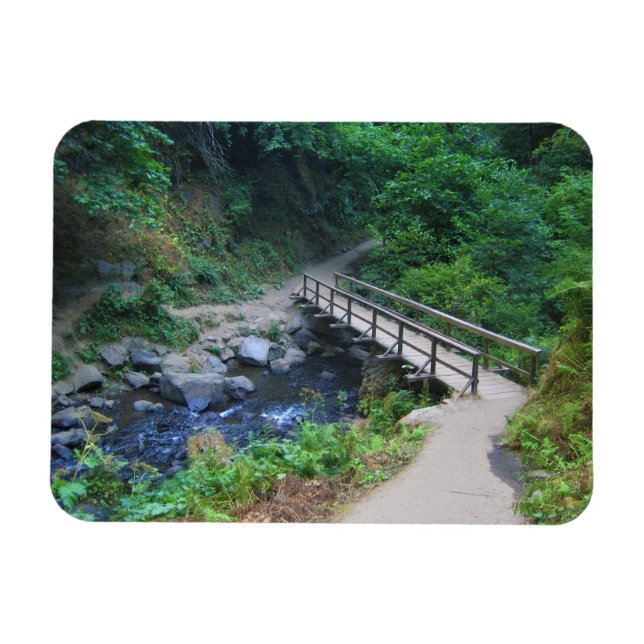 Bridge at Latourell Falls, Oregon Magnet (Horizontal)