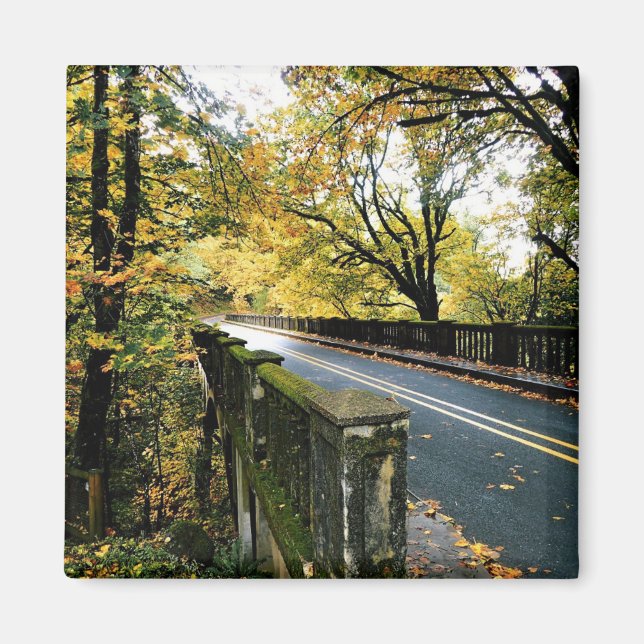 Bridge at Latourell Falls, Oregon Magnet (Front)