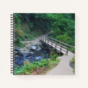 Bridge at Latourell Falls, Oregon Notebook