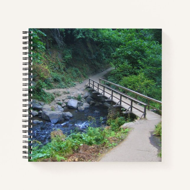 Bridge at Latourell Falls, Oregon Notebook (Front)