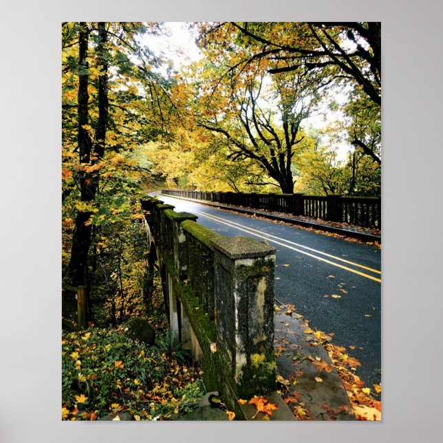 Bridge at Latourell Falls, Oregon Poster (Front)