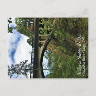 Bridge at Shepperd's Dell, Oregon Postcard