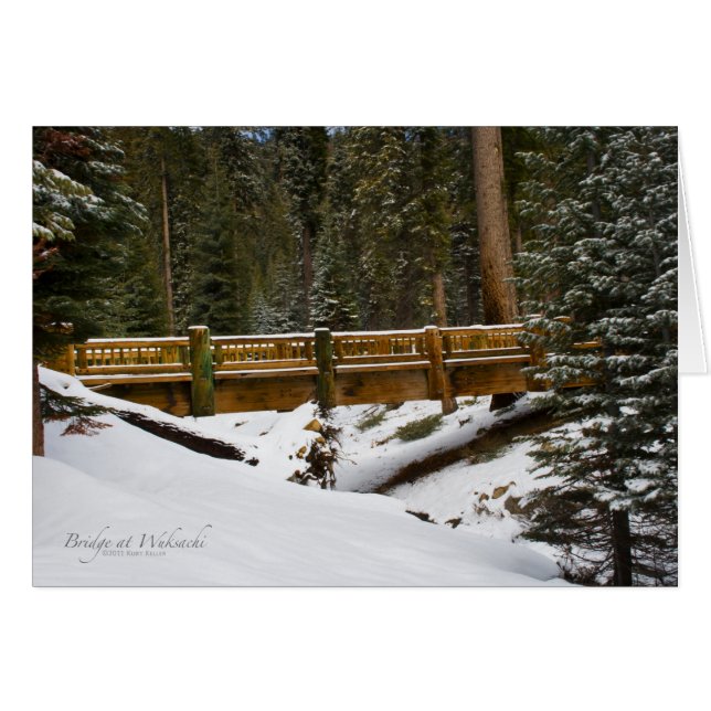 Bridge at Wuksachi (Front Horizontal)