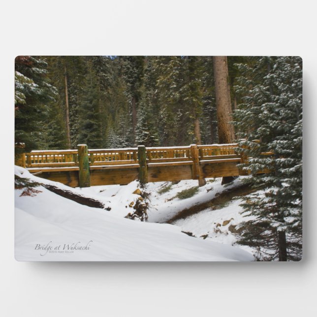 Bridge at Wuksachi Plaque (Front)