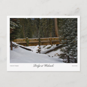 Bridge at Wuksachi Postcard