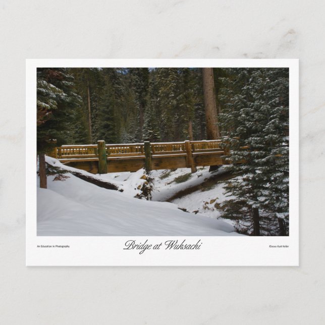 Bridge at Wuksachi Postcard (Front)