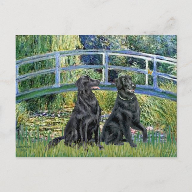 Bridge - Flat Coated Retriever (two) Postcard (Front)