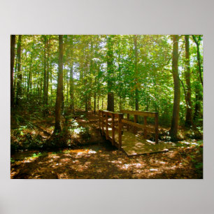 Bridge in the Woods Poster