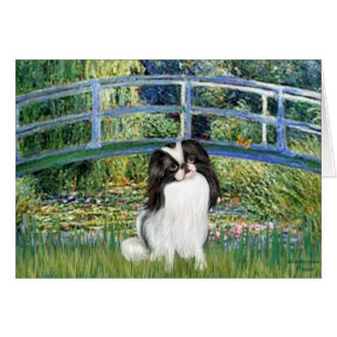 Bridge - Japaanese Chin 2