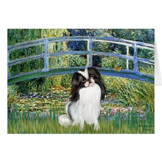 Bridge - Japaanese Chin 2 (Front Horizontal)