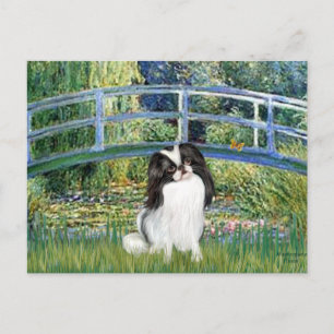 Bridge - Japaanese Chin 2 Postcard