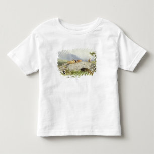 Bridge Near Dalmally (w/c) Toddler T-Shirt
