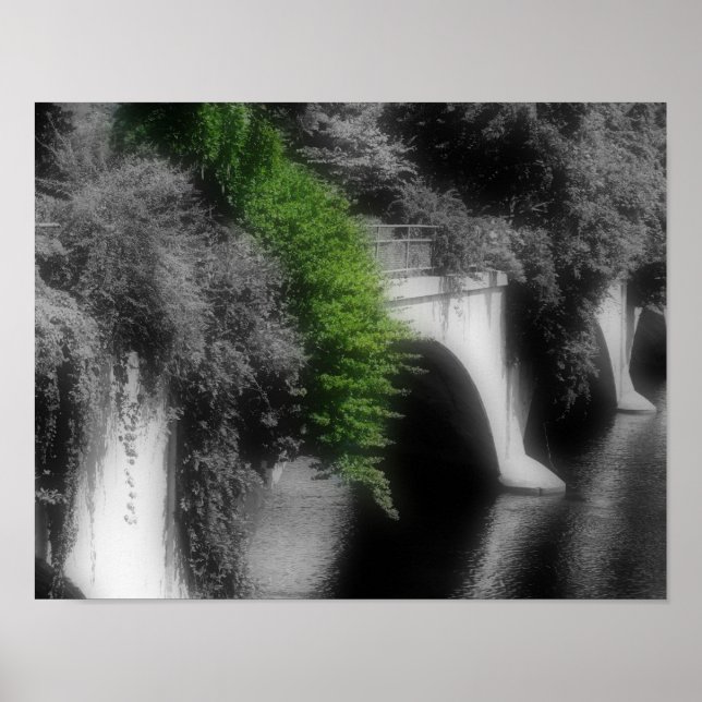 Bridge Of Flowers Partial Colour Poster (Front)