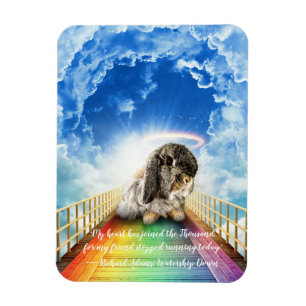 Bridge of Many Colours Magnet