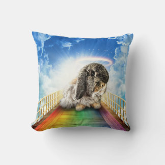 Bridge of Many Colours Pillow