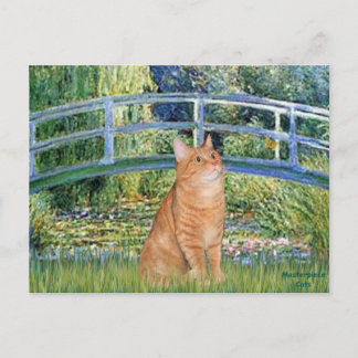 Bridge - Orange Tabby SH cat 46 Postcard