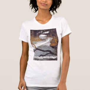 Bridge Over a Frozen Stream by Alexandra Cook T-Shirt