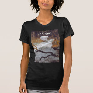 Bridge Over a Frozen Stream by Alexandra Cook T-Shirt