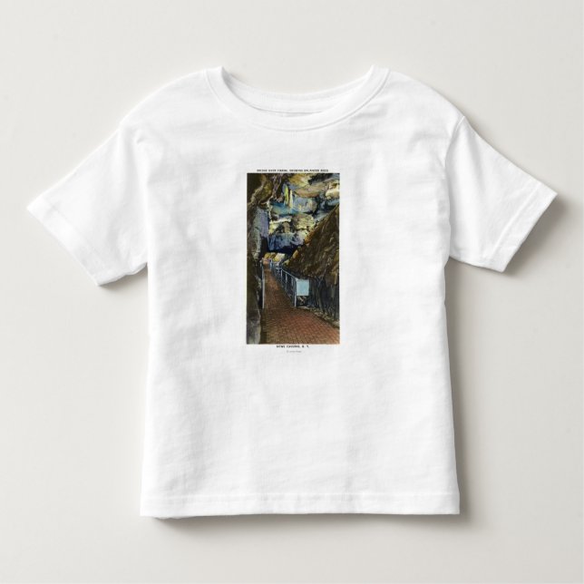Bridge over Chasm Showing Balanced Rock Toddler T-Shirt (Front)