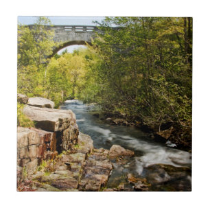 Bridge Over River Ceramic Tile