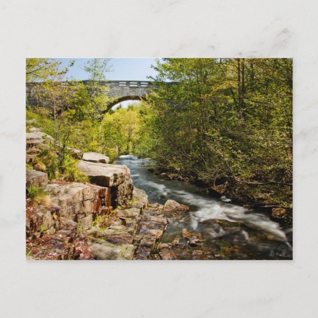 Bridge Over River Postcard (Front)