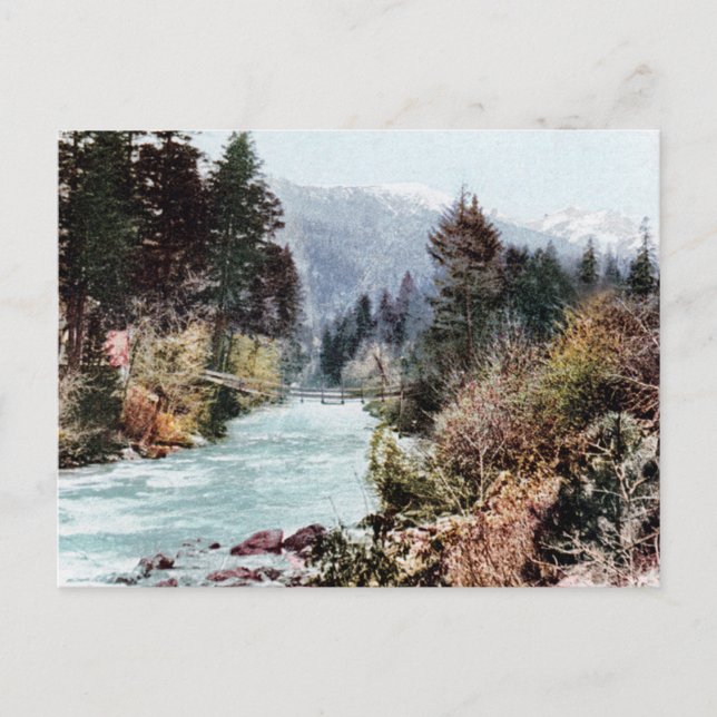 Bridge Over The Sacramento River c.1900 Postcard (Front)