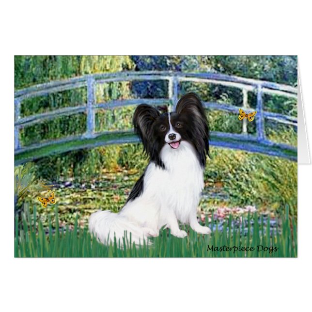 Bridge - Papillon 1 (Front Horizontal)