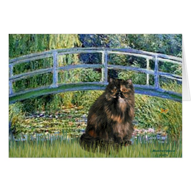 Bridge - Persian Calico cat (Front Horizontal)