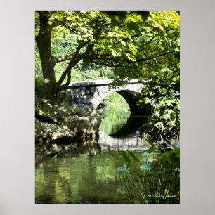 Bridge print