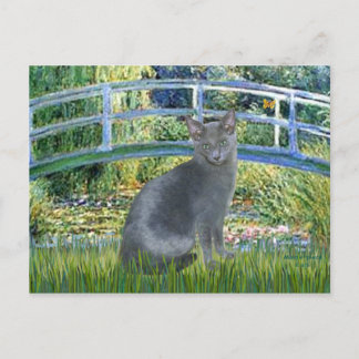 Bridge - Russian Blue cat 2 Postcard