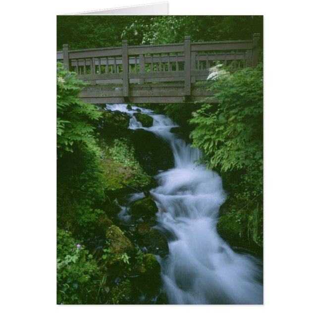 Bridge To Tranquillity (Front)