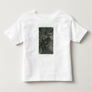 Bridge Under Balance Rock View Toddler T-Shirt