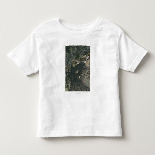 Bridge Under Balance Rock View Toddler T-Shirt (Front)