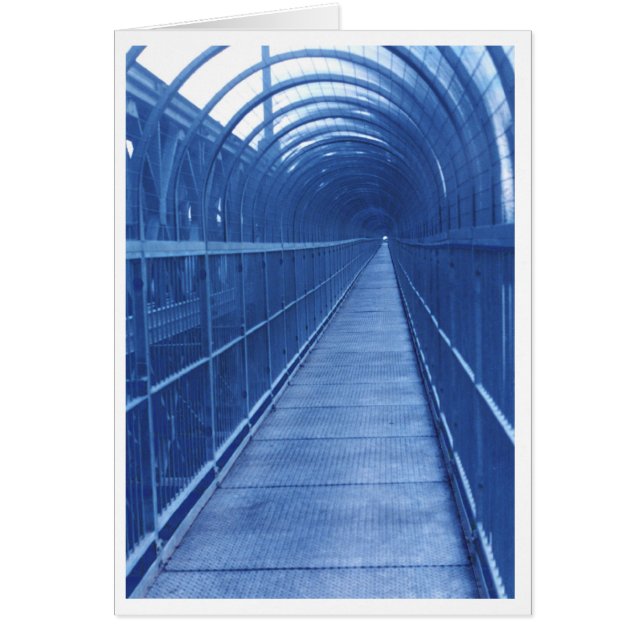Bridge Walkway (Front)