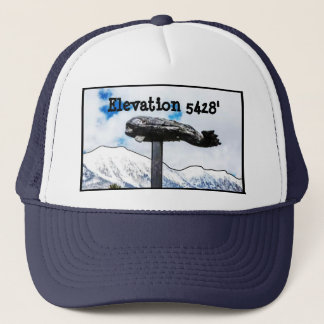 Bridger Bowl Whale Trucker Hat