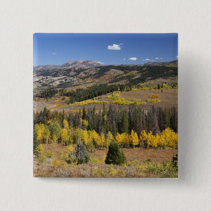 Bridger-Teton National Forest 15 Cm Square Badge
