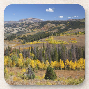 Bridger-Teton National Forest Coaster
