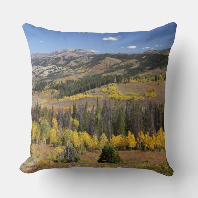 Bridger-Teton National Forest Cushion (Front)
