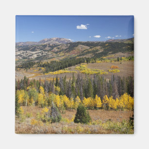 Bridger-Teton National Forest Magnet