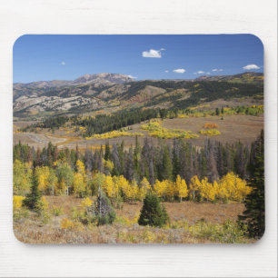 Bridger-Teton National Forest Mouse Pad